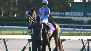 【フェブラリーS見どころ】紅一点ダブルハートボンドがGI連覇だ