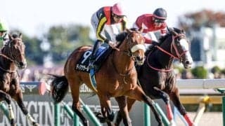 【阪急杯想定騎手】ディアナザールは団野大成騎手、ソンシは川田将雅騎手