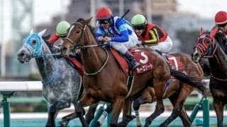 【ダイヤモンドS想定騎手】ホーエリートは戸崎圭太騎手、スティンガーグラスはC.ルメール騎手