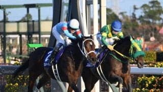 【フェブラリーS想定騎手】ダブルハートボンドは坂井瑠星騎手、コスタノヴァはC.ルメール騎手