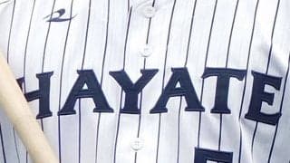 2軍球団ハヤテ、くふうカンパニーと提携解除　命名権巡って騒動も…連名で「双方円満」