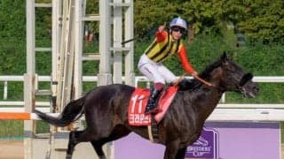 【先週のJRA抹消馬】ダート重賞4勝のクラウンプライド、芝マイルで活躍のウンブライルなど