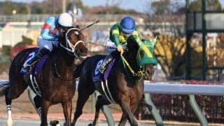 【AI予想・フェブラリーS】人工知能はチャンピオンズCの上位馬を素直に評価！ 過去の傾向からも好走する可能性が高い本命候補3頭