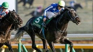 共同通信杯Vのリアライズシリウス 2000mまでなら許容範囲か