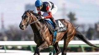 【ダイヤモンドS展望】データが導く鉄板軸！スティンガーグラスが重賞制覇へ