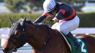 現在は種牡馬としてイタリアで活躍中 アルバートドックが重賞初制覇を飾った16年小倉大賞典を回想
