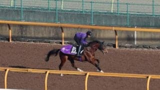 アドマイヤクワッズなど、先週の入厩情報/栗東トレセンニュース