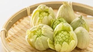 ふきのとうの驚くべき効果効能とおいしい食べ方