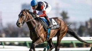 【ダイヤモンドS予想オッズ】スティンガーグラスが予想1番人気