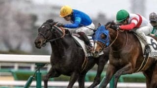 【小倉大賞典予想オッズ】センツブラッドが予想1番人気