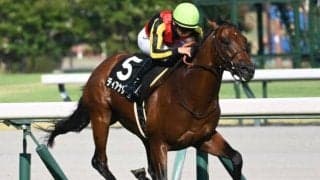 【阪急杯予想オッズ】ディアナザールが予想1番人気