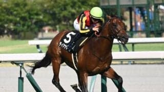 【阪急杯展望】データが示す上がり馬ディアナザールに勝機あり