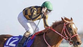 フェブラリーS着差ランキング 史上5頭目の芝ダート二刀流JRA・GI制覇など