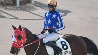 【大井・雲取賞注目馬】ダート三冠の頂へ一歩踏み出す馬は 羽田盃トライアルに16頭集結