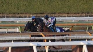 アランカール、チューリップ賞1週前追い切り速報/栗東トレセンニュース