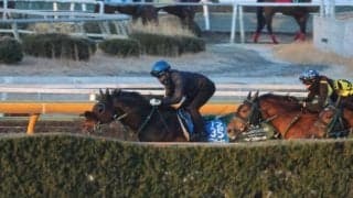 セイウンハーデス、中山記念1週前追い切り速報/栗東トレセンニュース