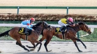 近3年連続で勝ち馬がのちに重賞制覇 ヒヤシンスSにはスターホースが潜んでいるかも