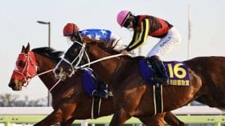 【雲取賞】松山「勝ち馬しぶとくて強かった」トリグラフヒルは追い比べに敗れて2着