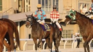 【雲取賞】1番人気マクリールはスタート決まらず3着…ルメール「3コーナーから手応えはなかった」