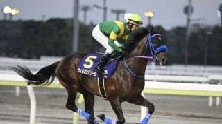 【フェブラリーS予想】上位人気が堅実な一戦 AIも実績馬を順当に評価