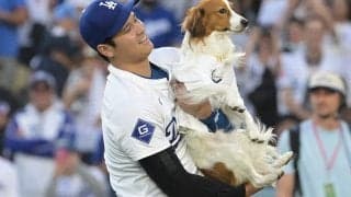 大谷翔平の愛犬がまさかの登場　同僚婚約者が投稿…明かされたお友達「bestie boys」