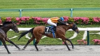 【フェブラリーS出走馬・騎手確定】コスタノヴァ＆C.ルメール騎手、ダブルハートボンド＆坂井瑠星騎手など16頭