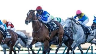 【ダイヤモンドS出走馬・騎手確定】ホーエリート＆戸崎圭太騎手、スティンガーグラス＆C.ルメール騎手など15頭