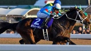 【フェブラリーS・調教後馬体重】ダブルハートボンドは484kg、コスタノヴァは492kg