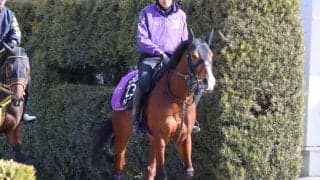 アドマイヤクワッズ、弥生賞2週前追い切り速報/栗東トレセンニュース