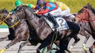 セレクト5.2億円のコントレイル産駒サガルマータ 今度こそ初勝利を