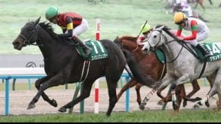 エイシンフェンサーが登録抹消…繁殖入り