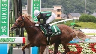 9歳馬バビットが引退…札幌競馬場で乗馬に