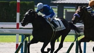 【小倉大賞典枠順確定】センツブラッドは6枠12番、ガイアメンテは7枠13番