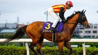 【フェブラリーS枠順確定】コスタノヴァは6枠12番、ダブルハートボンドは5枠9番