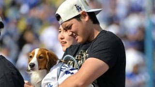 発見された大谷愛犬が「尊すぎる」　キャンプでお友達と…同僚の婚約者が明かした関係