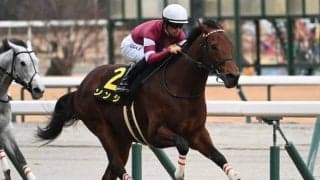 【阪急杯枠順確定】ソンシは1枠1番、ディアナザールは4枠8番