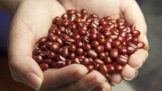 実は栄養満点！健康や美容にオススメ「小豆」の魅力