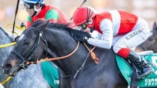 【小倉大賞典】セレクト5.1億円のショウナンアデイブ 史上最高額のJRA重賞勝ち馬となるか