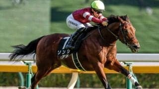 【阪急杯予想】休み明けの馬はGII以上での実績が必要不可欠!? 長欠明けで配当妙味も薄い軽視すべき人気馬