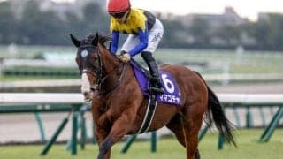 【オーシャンS想定馬・騎手】ママコチャ、ルガルなど19頭