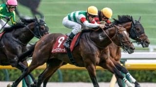 【中山記念想定馬・騎手】レーベンスティール、カラマティアノスなど14頭