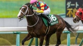 阪神芝内回りは前＆内有利 アサカラキングの粘り込みがあるぞ