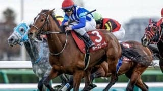 【ダイヤモンドS予想】東京替わりで割引必要!? 過去傾向から高評価を与えにくい人気の一角