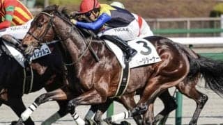 【すみれS】金子真人オーナーのセレクト2.6億円馬 ページターナーがデビュー2連勝狙う