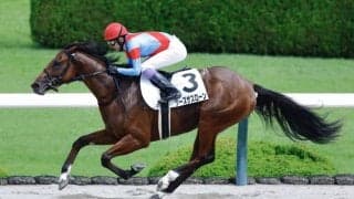 【武豊日記】元メジャーリーガー藤浪晋太郎投手との交流