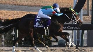 【フェブラリーS】牝馬ダブルハートボンド5枠9番へ