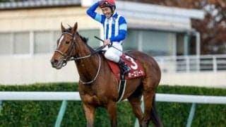 【今日の注目ポイント】東京でダイヤモンドSと阪神で阪急杯