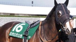 阪急杯は「逃げ馬」と「キズナ産駒」に注意