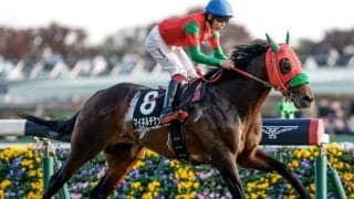 【阪急杯予想】高松宮記念への切符をかけた戦い ハイペース勝負を制すのは