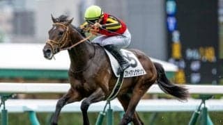 【ダイヤモンドS予想】特殊な条件で波乱の可能性も 長距離適性を重視